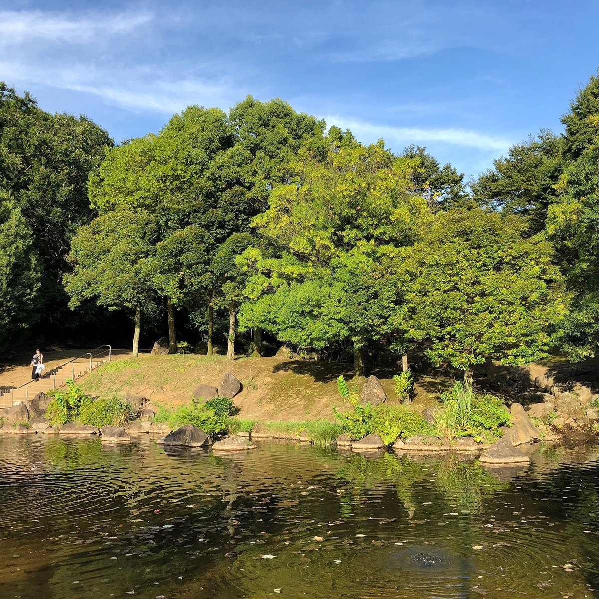 🌳 오젠지 후루사토 공원(오젠지 후루사토 코엔) 이미지 1